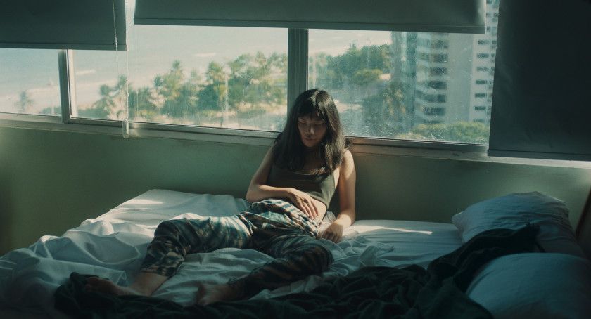 Macaque in the trees