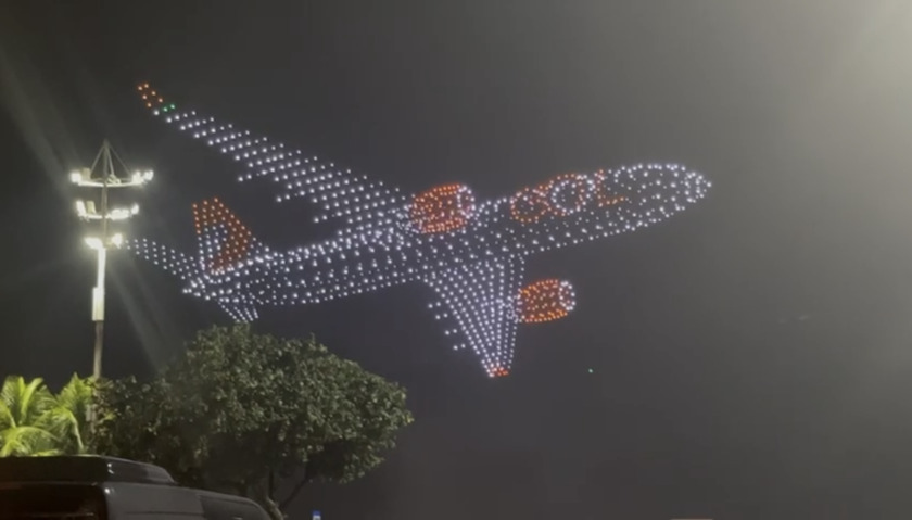 Macaque in the trees