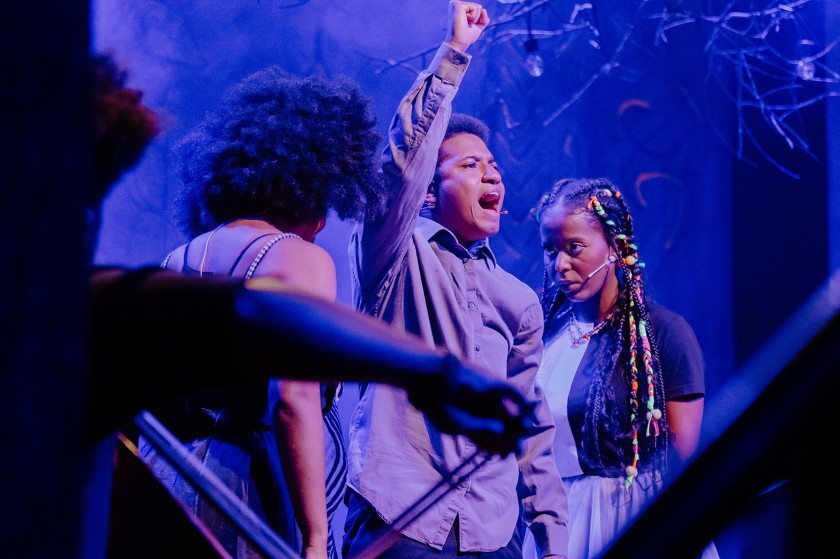 Macaque in the trees