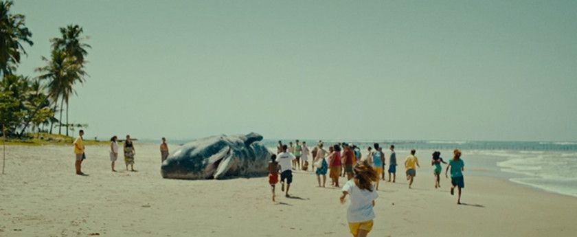 Macaque in the trees