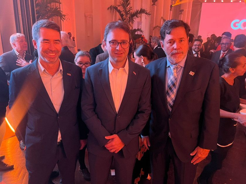 Macaque in the trees