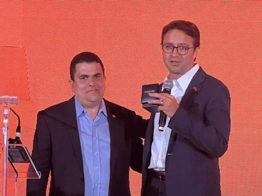 Macaque in the trees