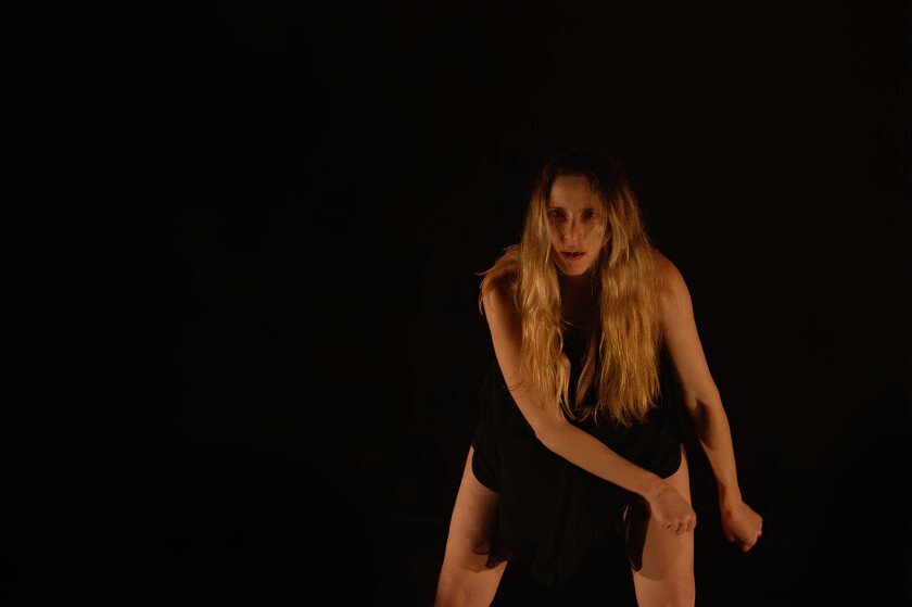 Macaque in the trees