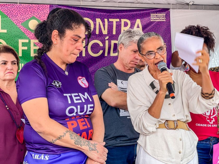 Macaque in the trees