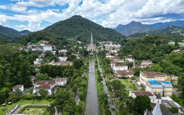 Conselho debate projeto para preservar &aacute;rvores no Centro
