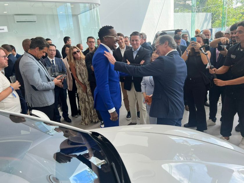 Macaque in the trees