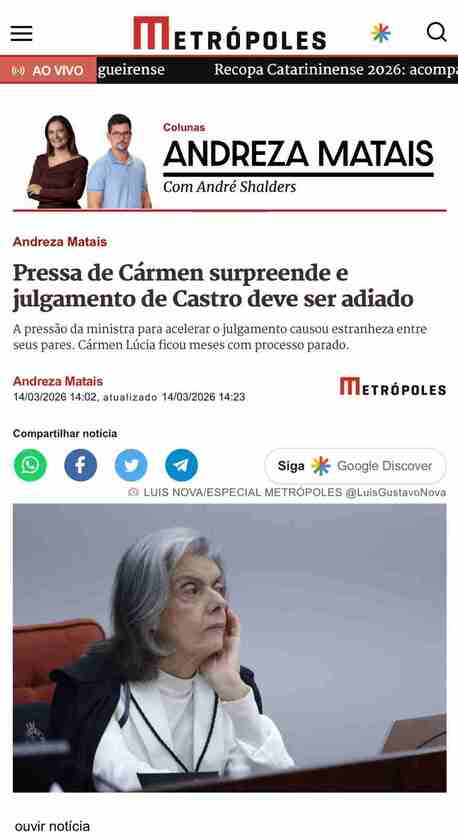 Macaque in the trees