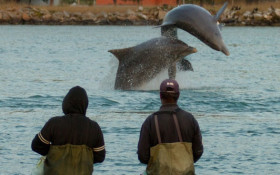 Iphan reconhece parceria entre pescadores e botos no Sul do Brasil