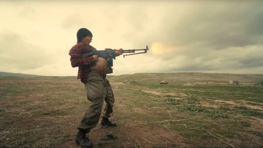 Macaque in the trees