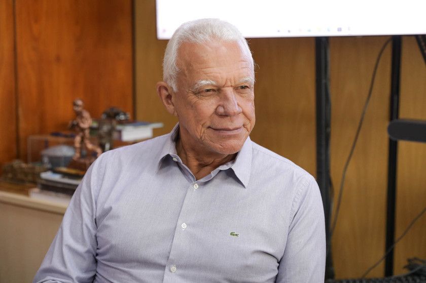 Macaque in the trees