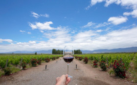 Partiu Mendoza, o cora&ccedil;&atilde;o do enoturismo latino-americano