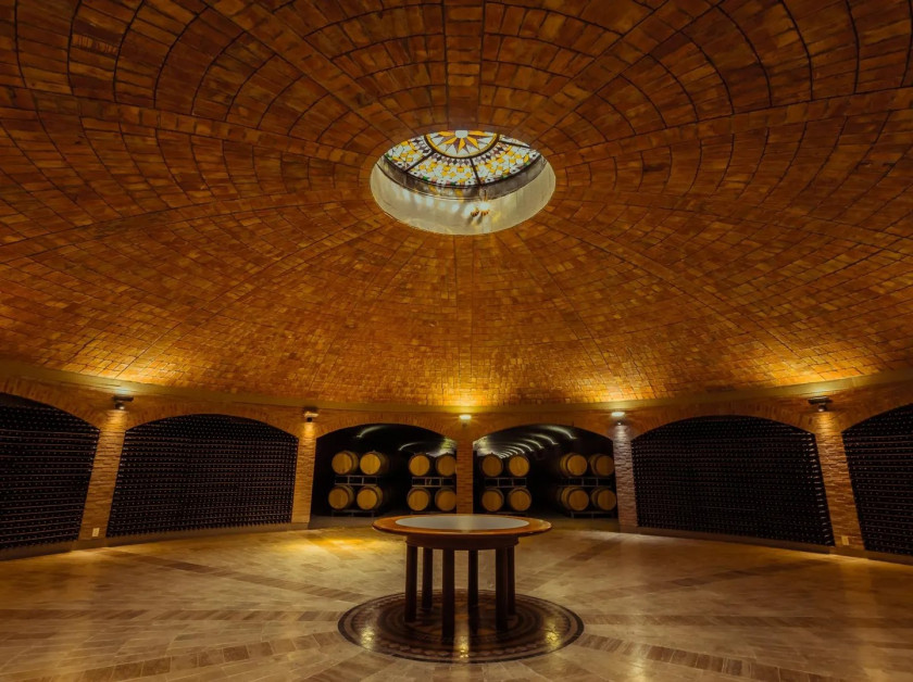 Macaque in the trees