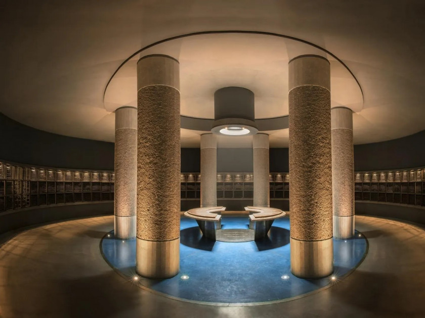 Macaque in the trees