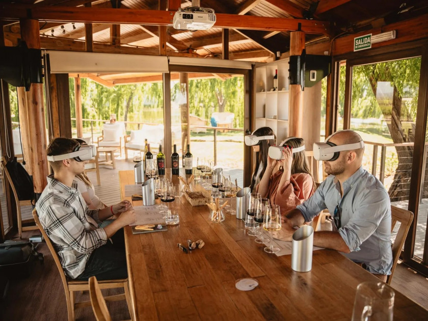 Macaque in the trees