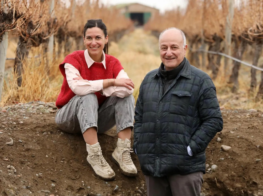 Macaque in the trees