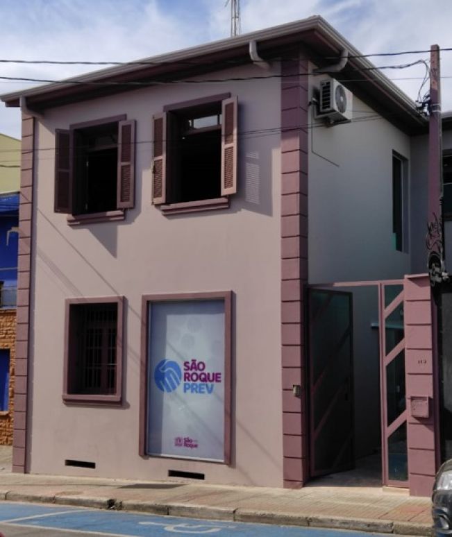 Macaque in the trees