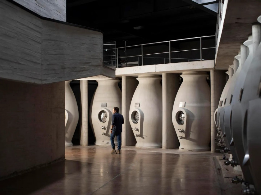 Macaque in the trees