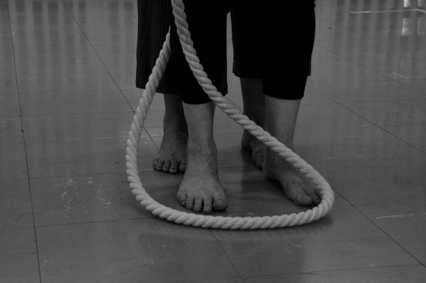 Macaque in the trees