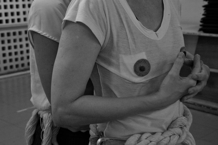 Macaque in the trees