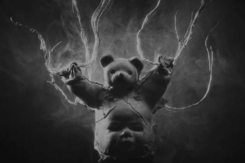 Macaque in the trees