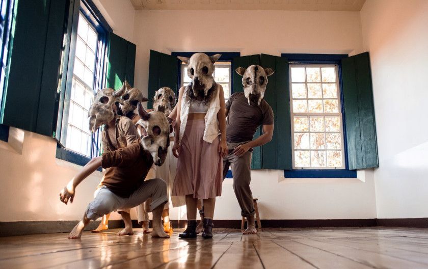 Macaque in the trees