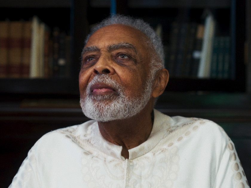 Macaque in the trees