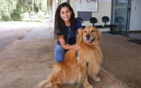 Treze c&atilde;es esperam ado&ccedil;&atilde;o h&aacute; um ano na Zoonoses de Bras&iacute;lia