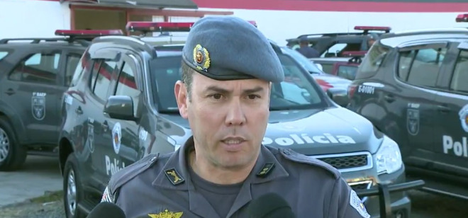 Macaque in the trees