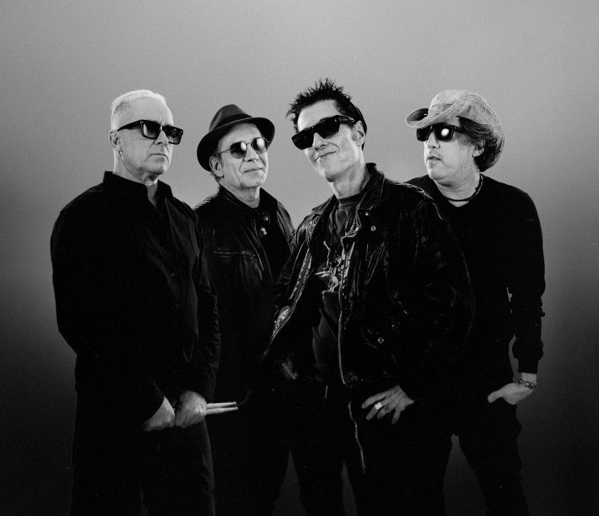 Macaque in the trees