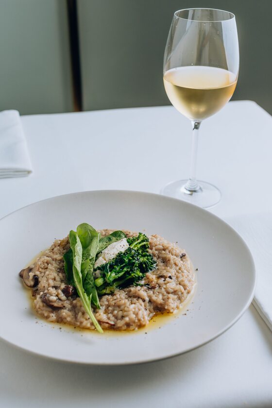 Macaque in the trees