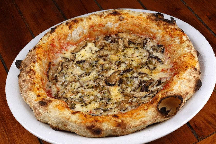 Macaque in the trees