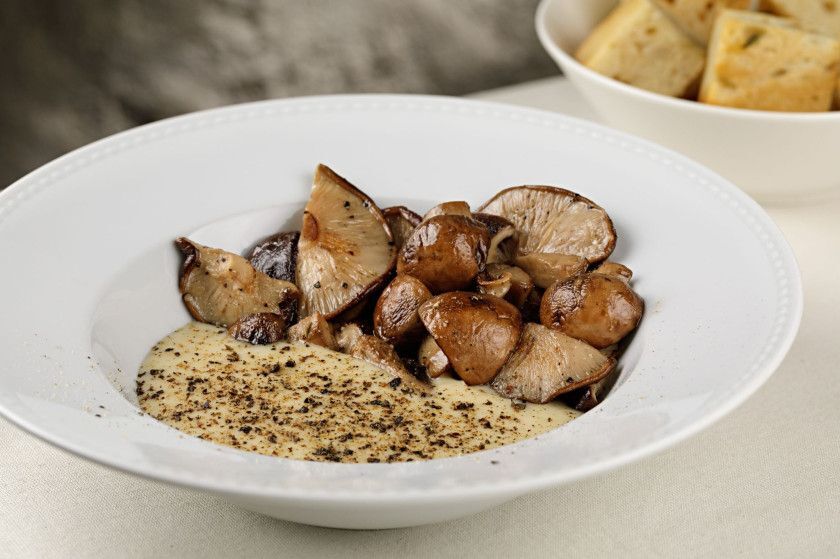 Macaque in the trees