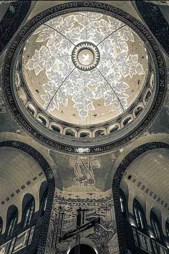 Macaque in the trees