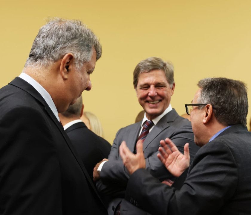 Macaque in the trees