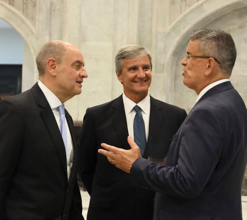 Macaque in the trees