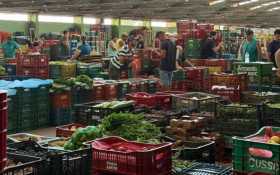 RS: Ceasa fecha 2025 com super&aacute;vit recorde