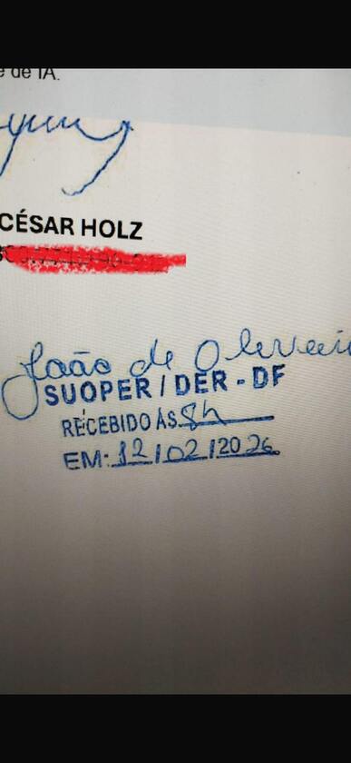 Recebimento do documento, com data e hora escrita à mão. Macaque in the trees