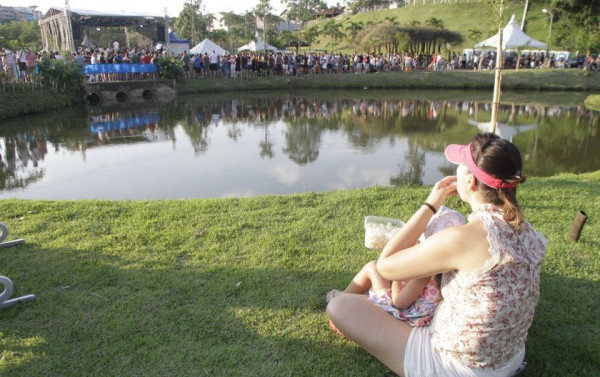 Macaque in the trees