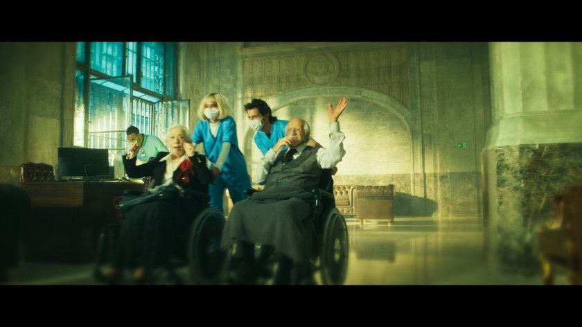 Macaque in the trees