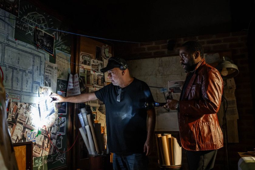 Macaque in the trees