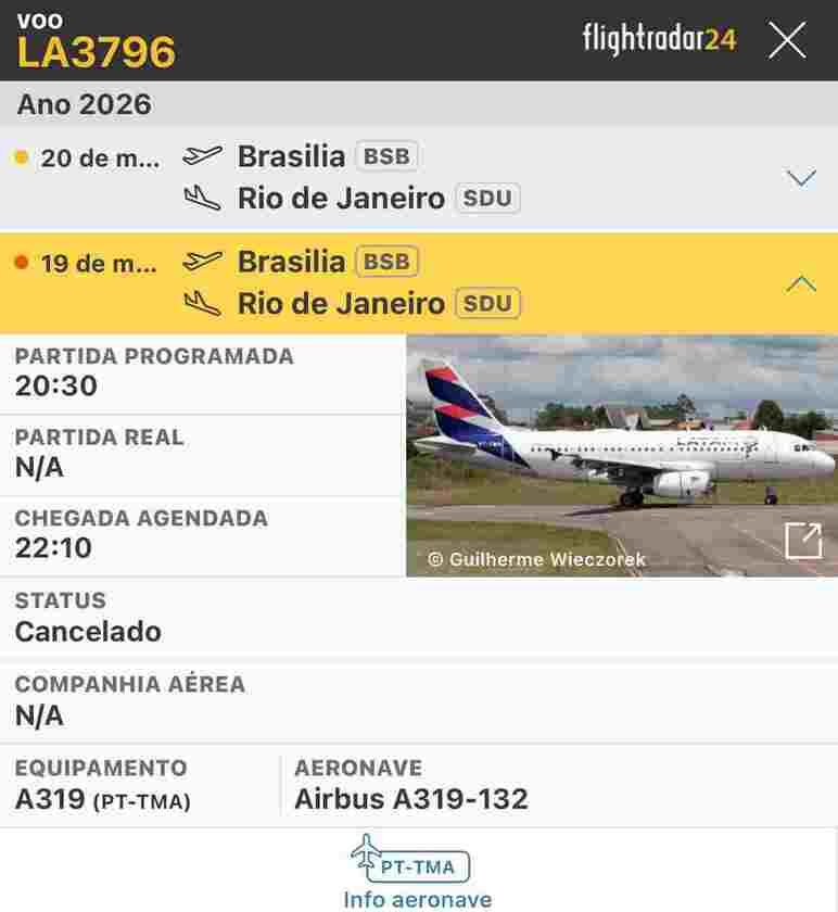 Macaque in the trees