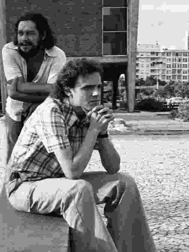 Macaque in the trees