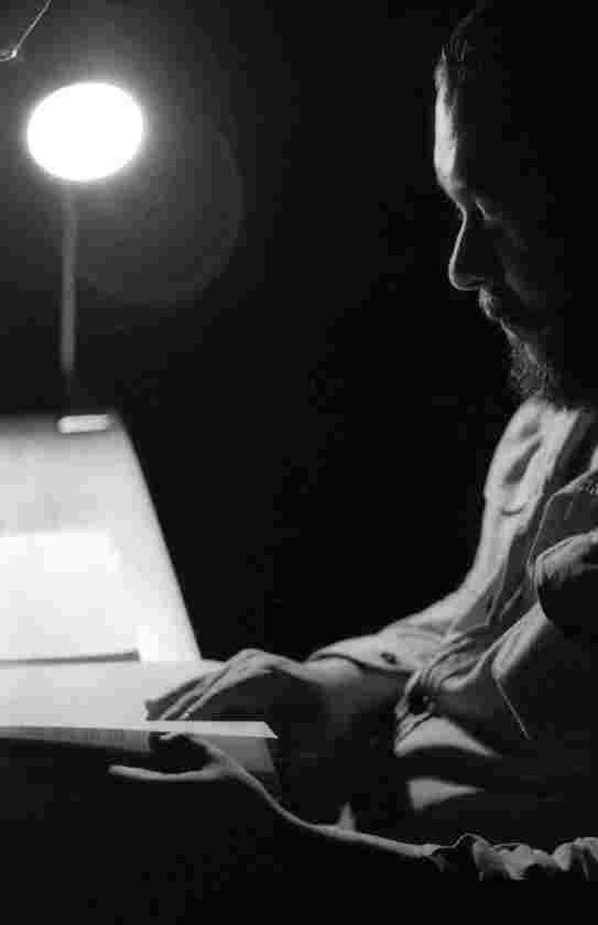 Macaque in the trees