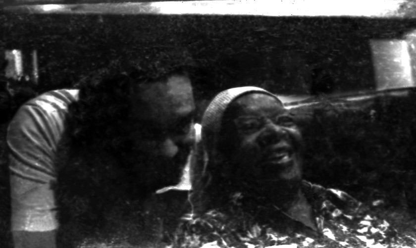 Macaque in the trees