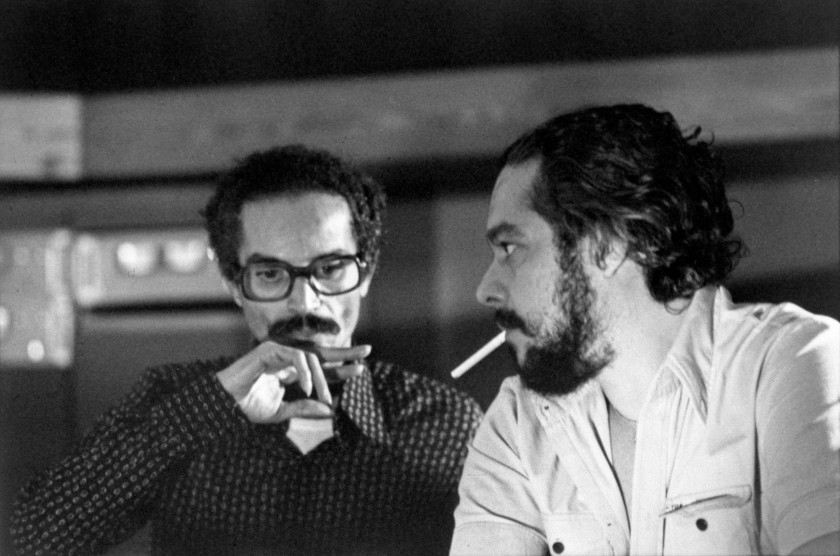 Macaque in the trees