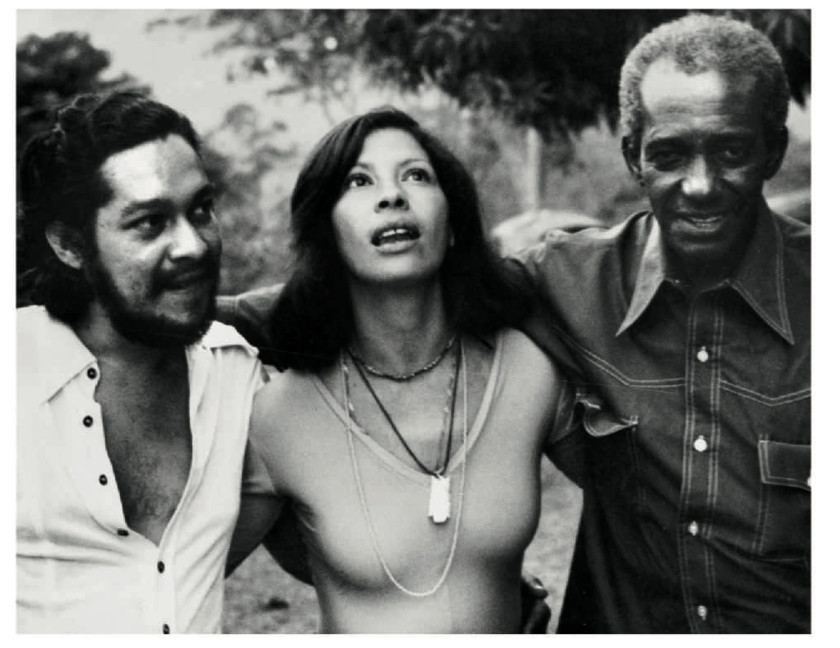 Macaque in the trees