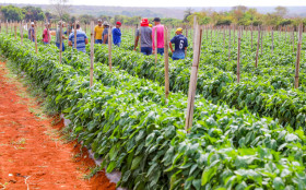 DF debate o Galp&atilde;o do Produtor Rural