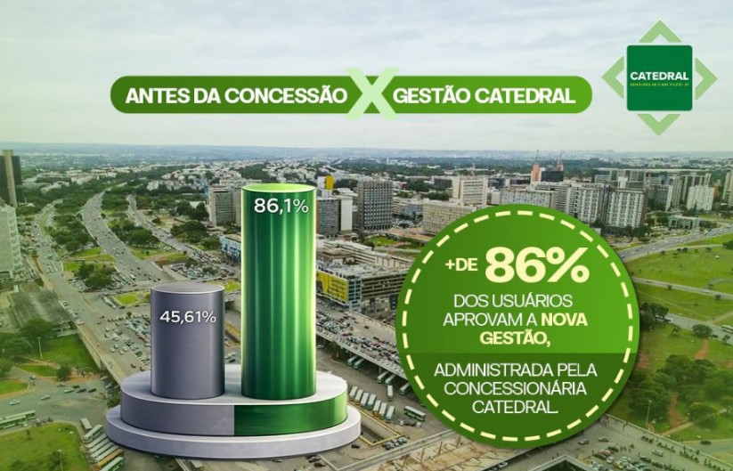 Macaque in the trees