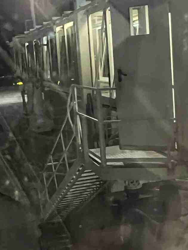 Macaque in the trees