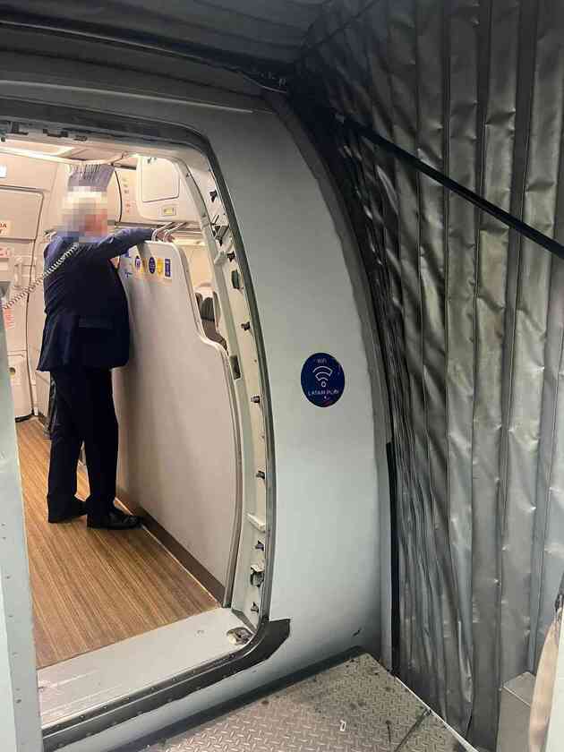 Macaque in the trees